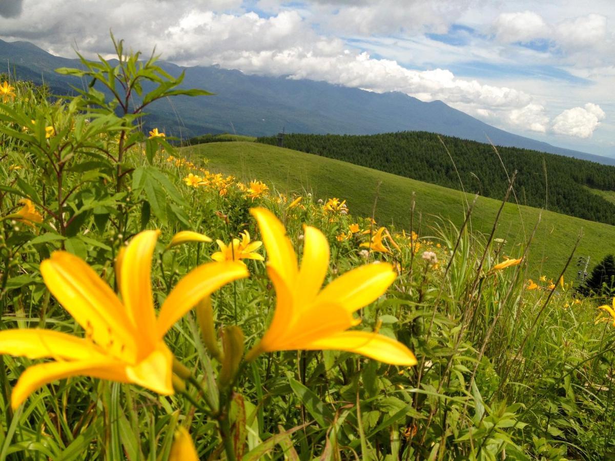 Pension Wildflowers Tateshina  Luaran gambar