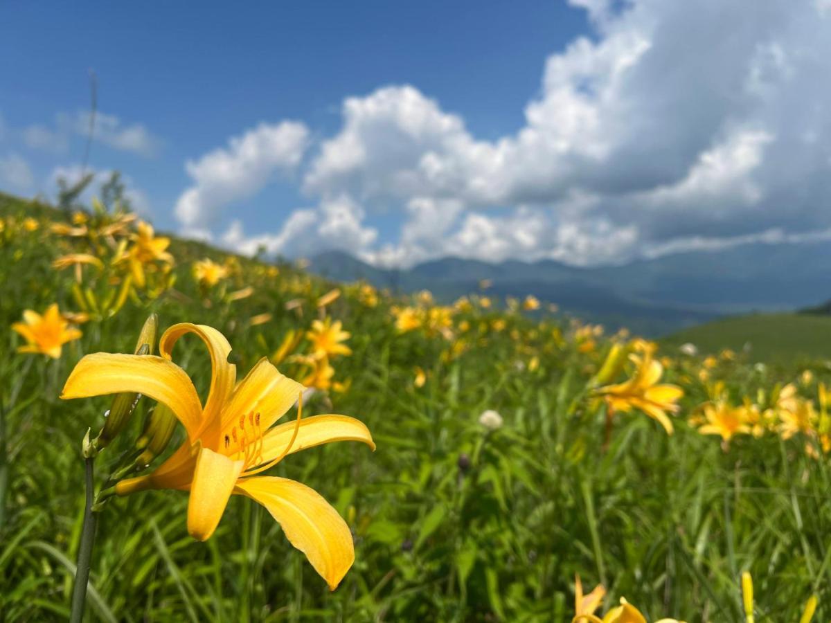 Pension Wildflowers Tateshina  Luaran gambar