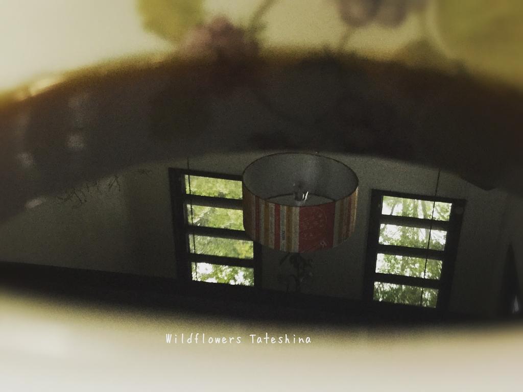 Pension Wildflowers Tateshina  Luaran gambar