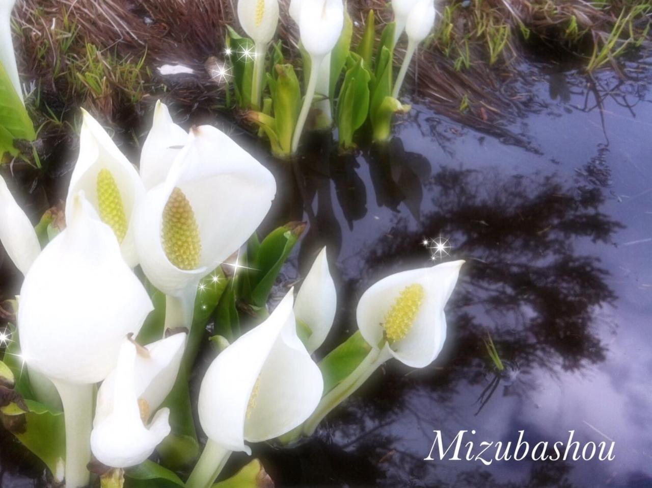 Pension Wildflowers Tateshina  Luaran gambar