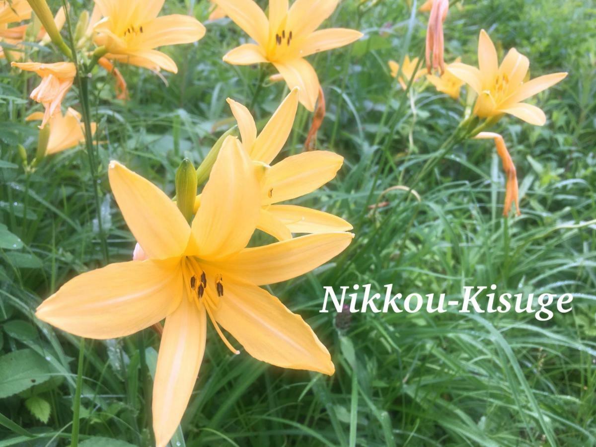 Pension Wildflowers Tateshina  Luaran gambar