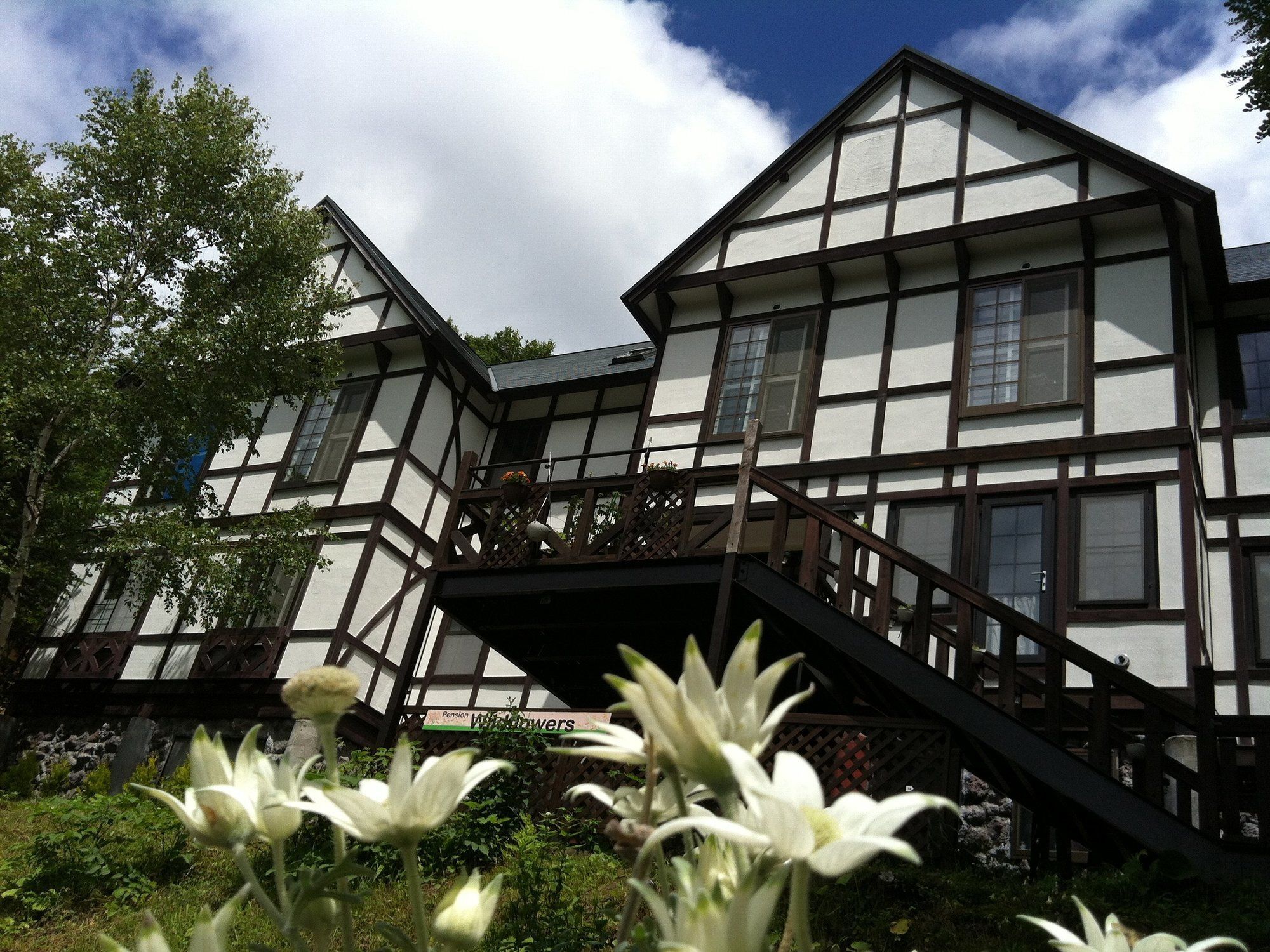 Pension Wildflowers Tateshina  Luaran gambar