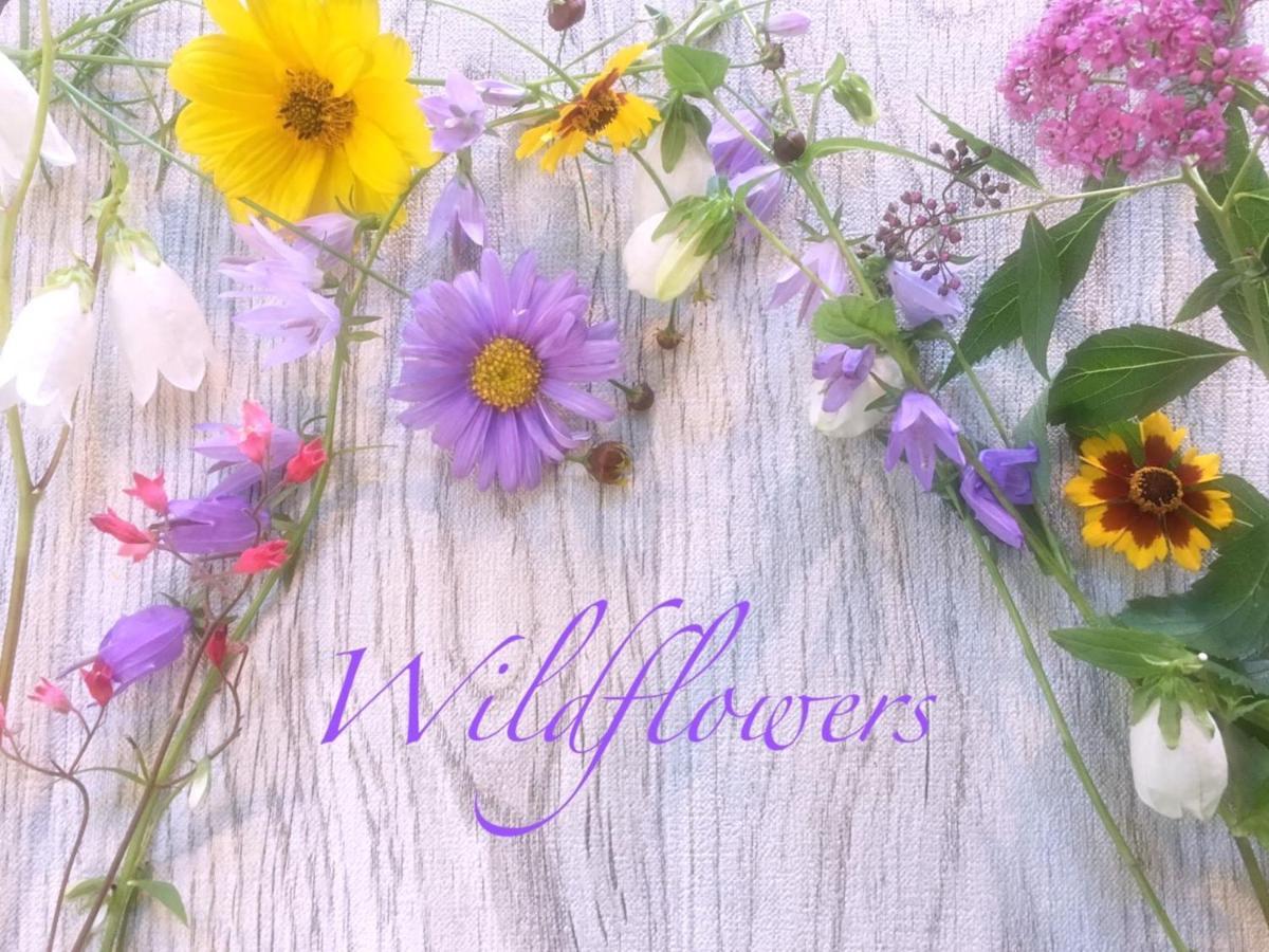 Pension Wildflowers Tateshina  Luaran gambar