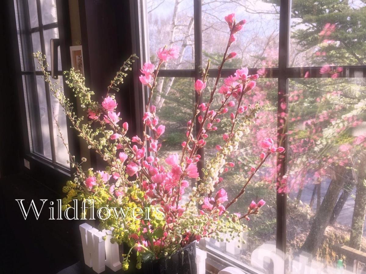 Pension Wildflowers Tateshina  Luaran gambar
