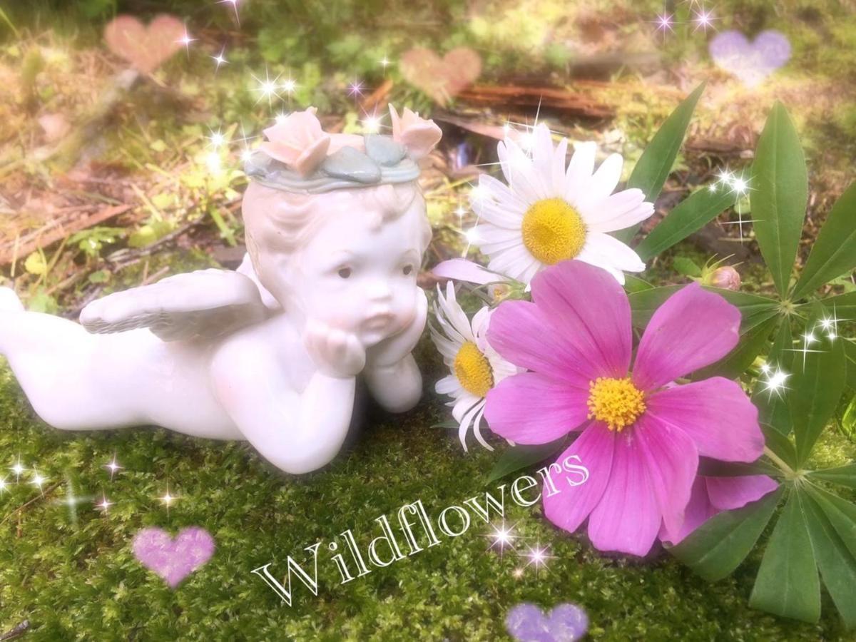 Pension Wildflowers Tateshina  Luaran gambar